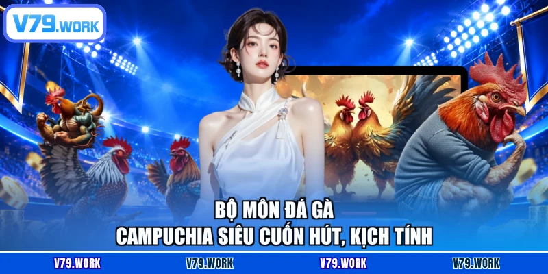 Bộ môn đá gà Campuchia siêu cuốn hút, kịch tính