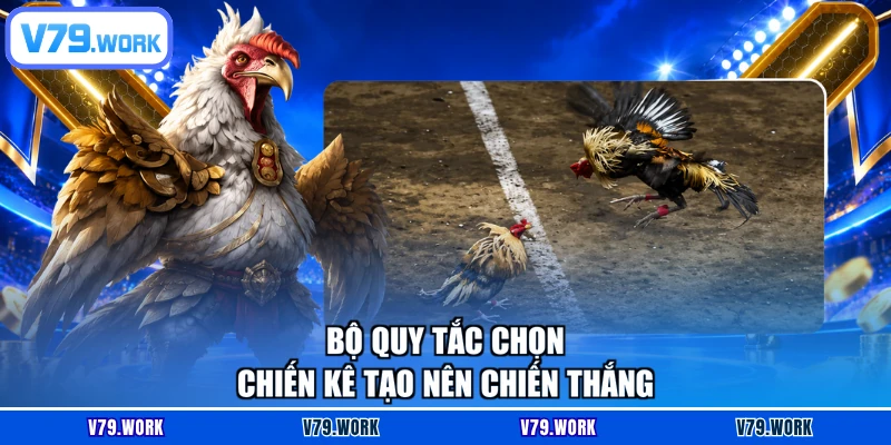 Bộ quy tắc chọn chiến kê tạo nên chiến thắng