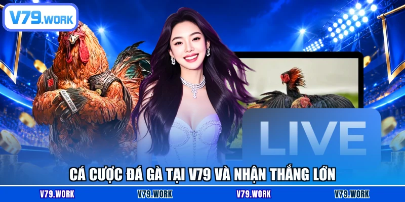 Cá cược đá gà tại V79 và nhận thắng lớn