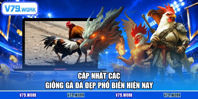 Cập nhật các giống gà đá đẹp phổ biến hiện nay