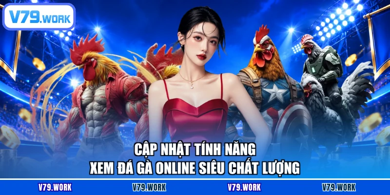 Cập nhật tính năng xem đá gà online siêu chất lượng