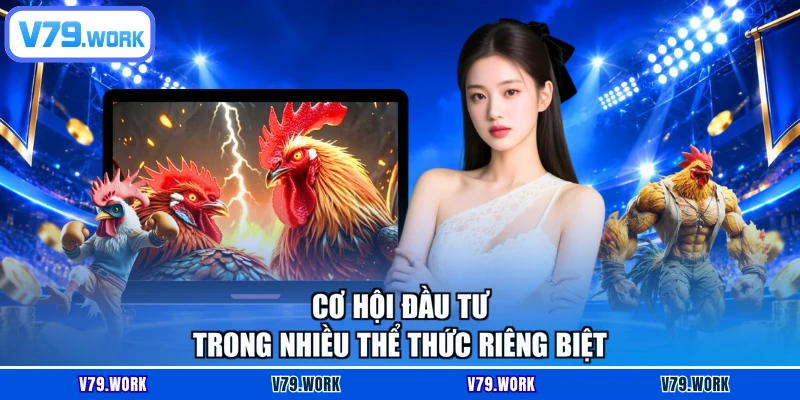 Cơ hội đầu tư trong nhiều thể thức riêng biệt