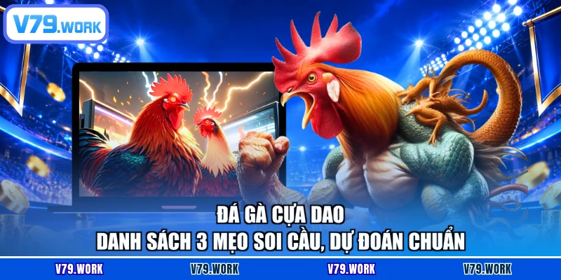 Đá Gà Cựa Dao - Danh Sách 3 Mẹo Soi Cầu, Dự Đoán Chuẩn