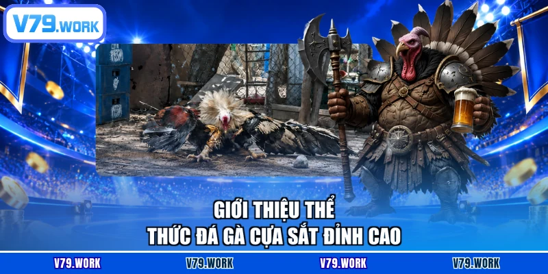 Giới thiệu thể thức đá gà cựa sắt đỉnh cao