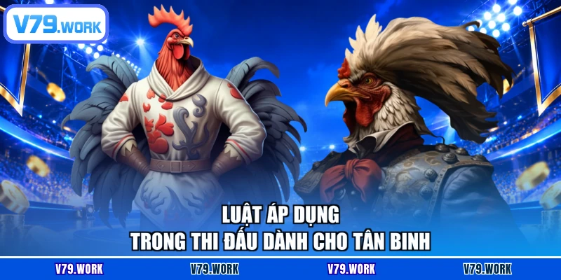 Luật áp dụng trong thi đấu dành cho tân binh