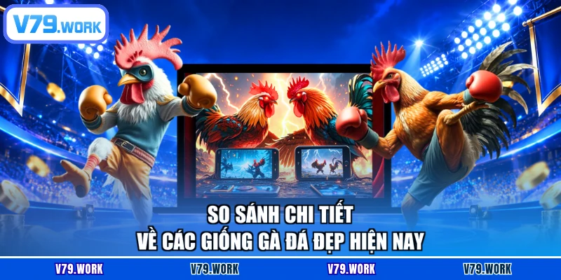 So sánh chi tiết về các giống gà đá đẹp hiện nay