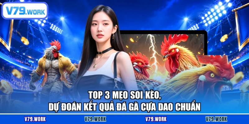Top 3 mẹo soi kèo, dự đoán kết quả đá gà cựa dao chuẩn