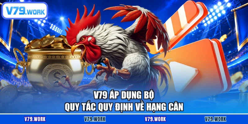 V79 áp dụng bộ quy tắc quy định về hạng cân