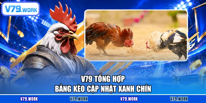 V79 tổng hợp bảng kèo cập nhật xanh chín